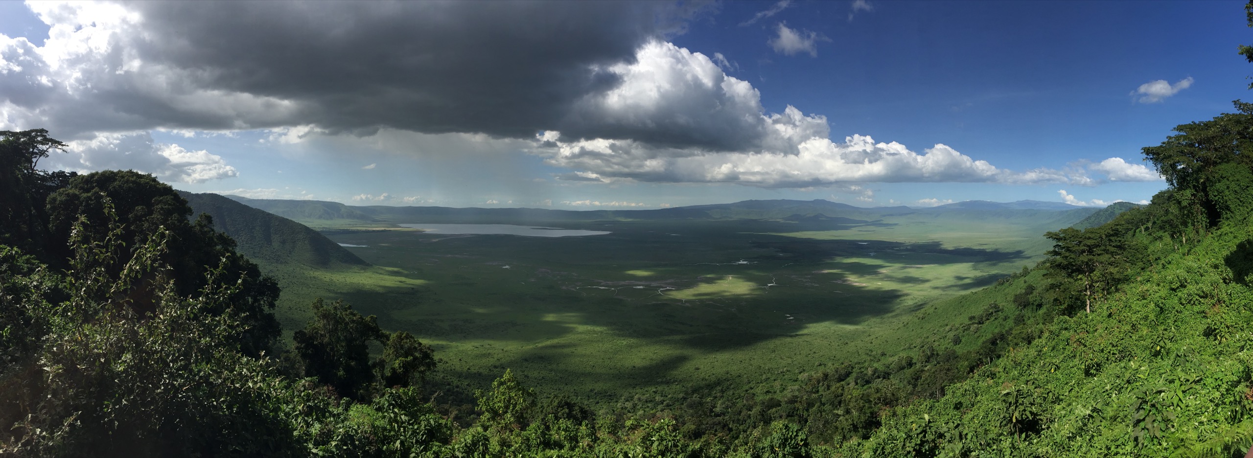 Panoramic view across Ngorongoro Crater